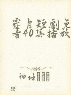 霁月短剧免费观看40集播放