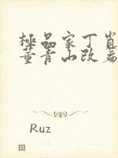 极品家丁肖青璇董青山改篇小说