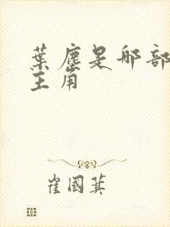 叶尘是哪部小说主角