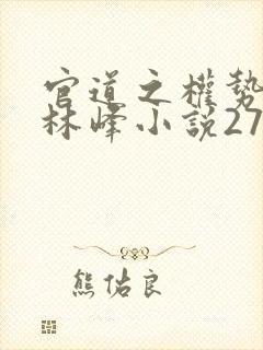 官道之权势滔天林峰小说277