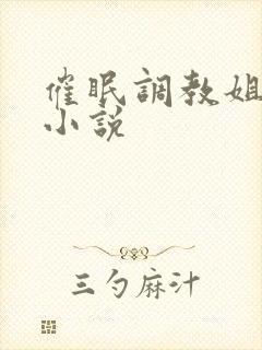 催眠调教姐姐的小说封面