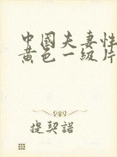 中国夫妻性生活黄色一级片