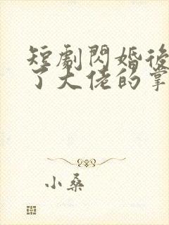 短剧闪婚后我成了大佬的掌中之物免费观看