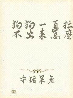 狗狗一直拉尿拉不出来怎么办