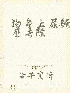 狗身上尿骚味怎么去除