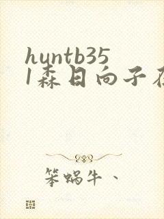 huntb351森日向子在线播放