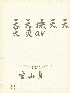 天天操天天干天天爽av