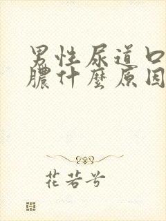 男性尿道口流白脓什么原因