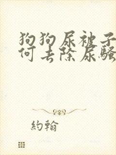 狗狗尿被子上如何去除尿骚味