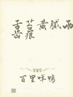 舌苔黄腻两侧有齿痕