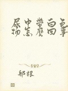 尿中带白色沉淀物怎么回事