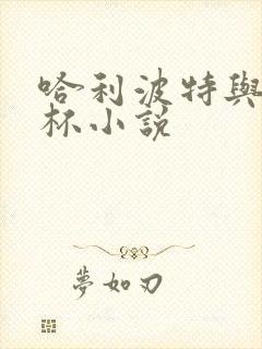 哈利波特与火焰杯小说