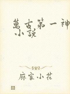 万古第一神有声 小说