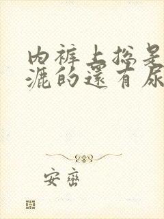 内裤上总是湿漉漉的还有尿骚味怎么回事封面