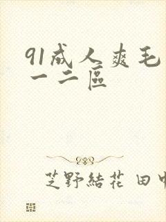 91成人爽毛片一二区