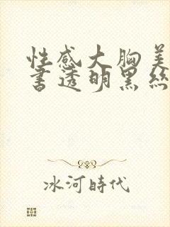 性感大胸美女秘书透明黑丝