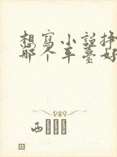 想写小说挣钱去哪个平台好