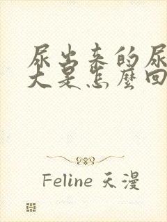 尿出来的尿味很大是怎么回事