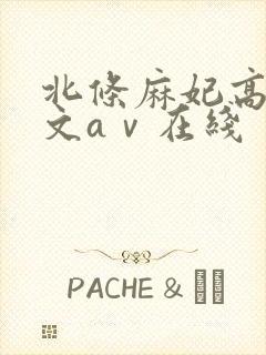 北条麻妃高清中文aⅴ在线