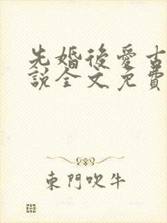 先婚后爱古言小说全文免费阅读封面