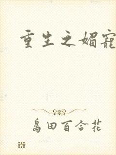 重生之媚宠系统