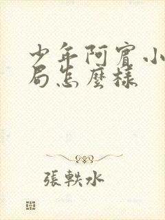 少年阿宾小说结局怎么样封面