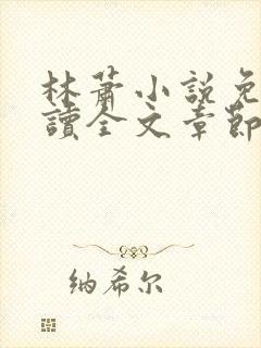 林萧小说免费阅读全文章节