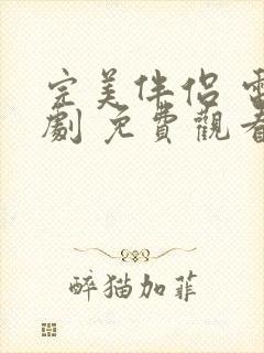 完美伴侣 电视剧 免费观看