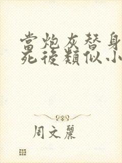 当炮灰替身的我死后类似小说