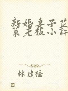 新婚妻子芷珊和菜老板小许小说全集