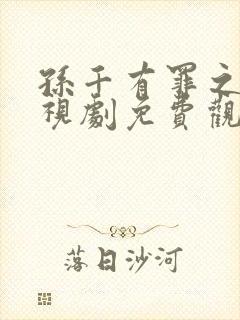 孙千有罪之身电视剧免费观看封面