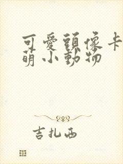 可爱头像卡通呆萌小动物封面