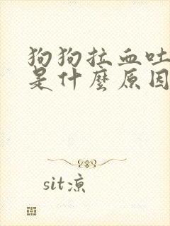 狗狗拉血吐黄水是什么原因