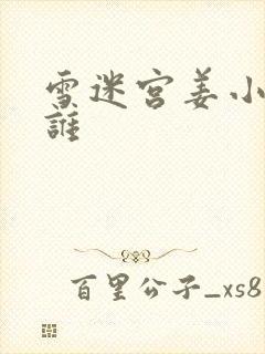 雪迷宫姜小海是谁封面