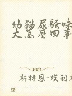 幼猫尿骚味特别大怎么回事