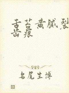 舌苔黄腻裂纹有齿痕