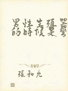 男性生殖器勃起的时候是弯的怎么办