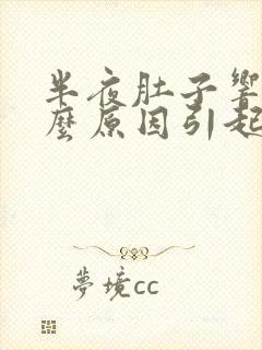 半夜肚子响是什么原因引起的