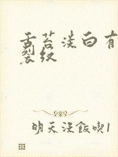 舌苔淡白有齿痕裂纹封面