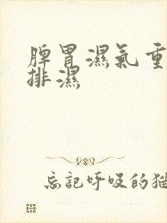 脾胃湿气重如何排湿