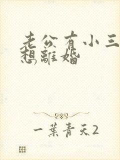 老公有小三我不想离婚