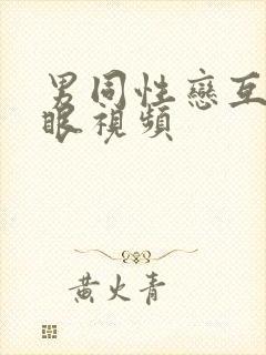 男同性恋互操屁眼视频