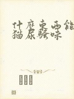 什么东西能去除猫尿骚味