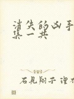 消失的凶手多少集一共