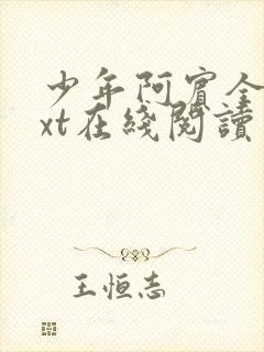 少年阿宾全文txt在线阅读