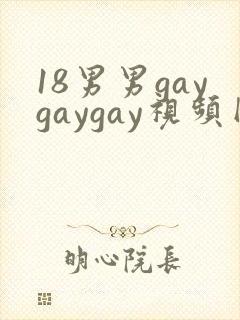 18男男gaygaygay视频网站