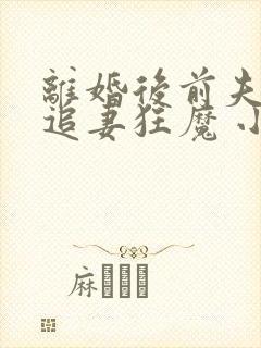 离婚后前夫成了追妻狂魔 小说