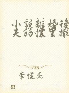 小说离婚后在前夫的怀里撒个娇全文封面