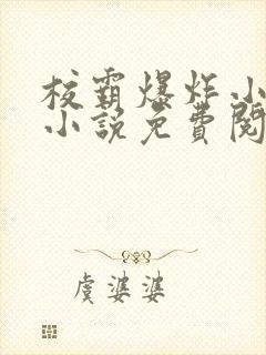 校霸爆炸小漂亮小说免费阅读封面