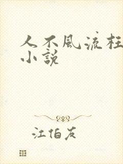 人不风流枉少年小说封面